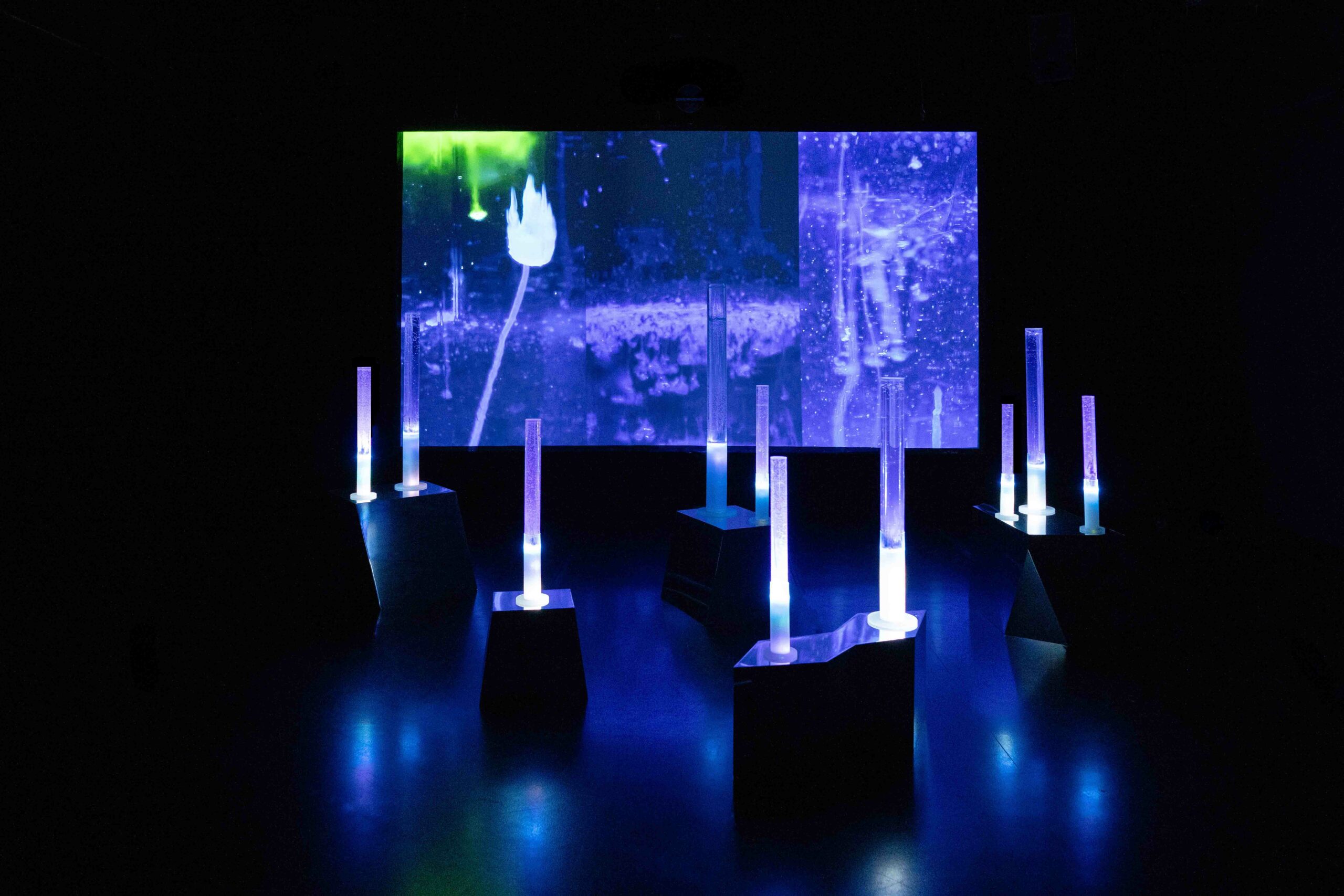 Visuel_Life_skh_Anatomie_du_vivant_2025_1